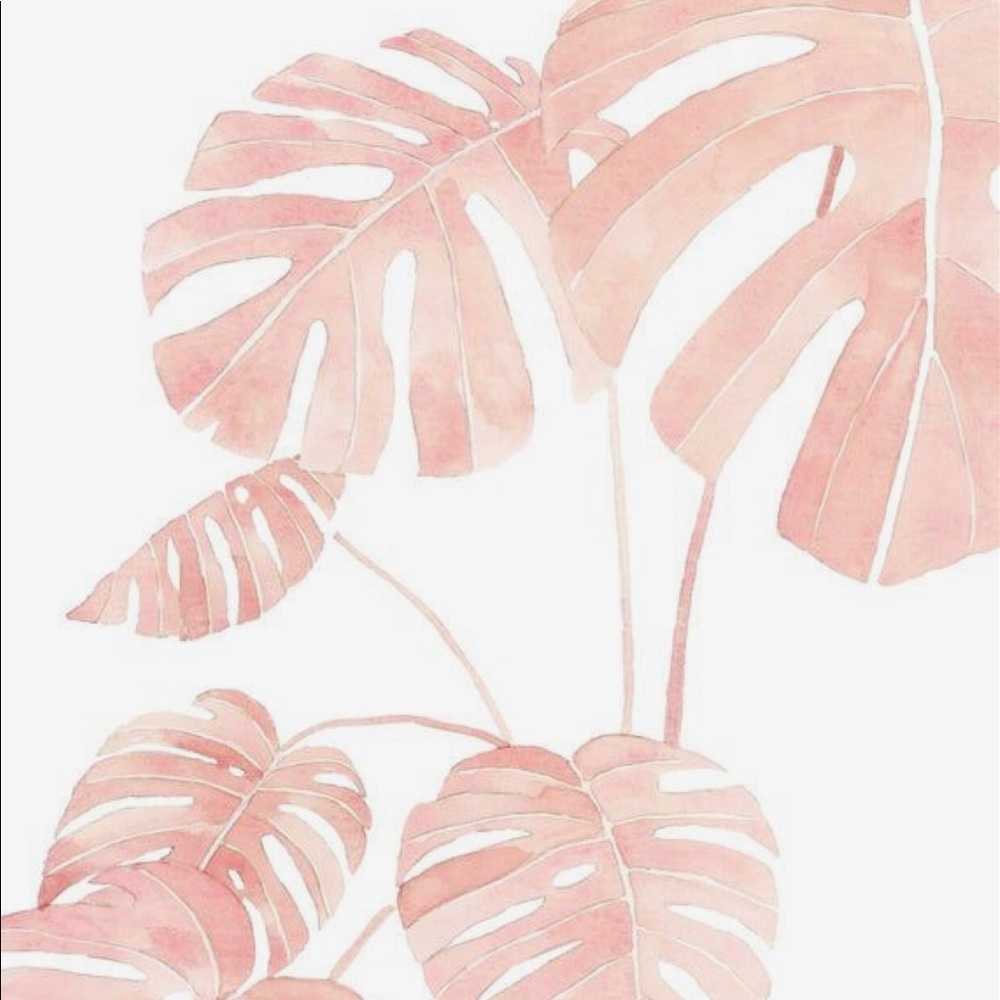 Meet your Posher, Matty